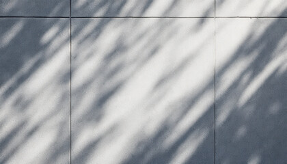 Natural Candid Photography of Shadows on a Textured Wall Surface