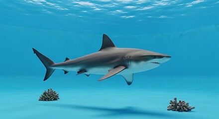 Naklejka premium A large, grey shark swims gracefully underwater, with two small coral formations on the sandy ocean floor. Sun rays filter through
