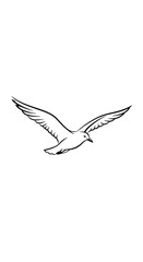 Fototapeta premium A monochrome illustration of a bird in flight, wings outstretched against a white background, capturing movement