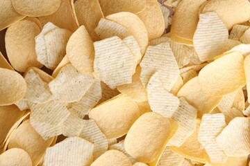 Homemade Flavored Paprika Potato Chips in a Bowl, top view. Flat lay