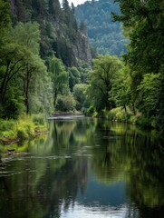 Fototapeta premium A serene river flows gently through lush, green forest scenery.
