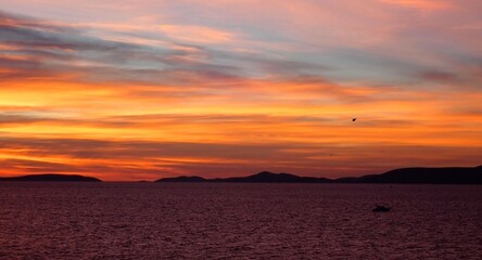 Seagull flying in sunset against sunset sky over a fishing boat