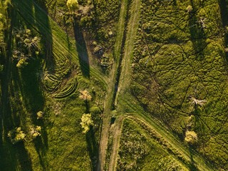 a clearing from above in summer