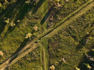a clearing from above in summer