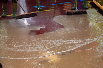 Fototapete bei efototapeten.de bestellen   