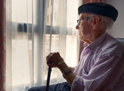 Solitude of Old Age by the Window