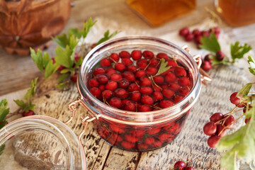 Preparation of homemade herbal tincture from fresh hawthorn berries