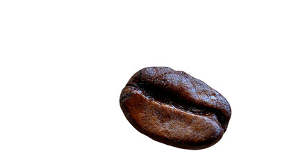 Coffee Bean (Coffea arabica) Macro Isolated on a White Background with Copy Text Space. Single...