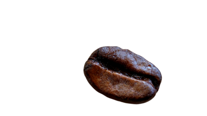 Coffee Bean (Coffea arabica) Macro Isolated on a White Background with Copy Text Space. Single Coffee Bean Macro for Cafe Culture, Beverage Design, and Organic Food Concepts. Coffee Bean Macro Element