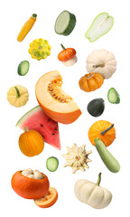 Fresh pumpkins and other vegetables of gourd family falling against on white background