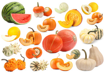 Fresh pumpkins and other vegetables of gourd family isolated on white, set
