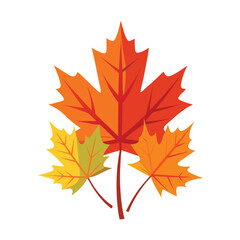 Autumn maple leaves isolated on white background colorful fall foliage