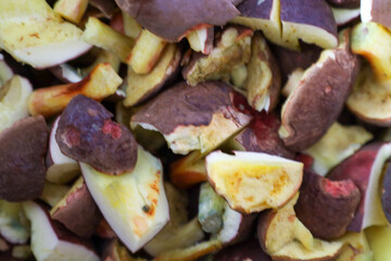 A close-up shot depicts sliced wild mushrooms with dark caps and light cuts, conveying a rich texture and natural colors of the autumn harvest. 