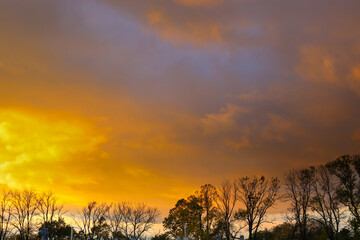 ​A striking sky at sunset or sunrise with fiery golden and orange hues dominates the dark silhouette of a leafless forest on the horizon.