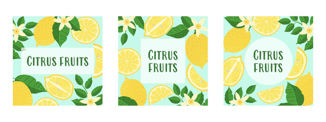 Three vibrant, square-shaped illustrations featuring citrus fruits, leaves, and slices, with a text placeholder. Ideal for banners, brochures, flyers, covers, cards, invitations, and other designs.