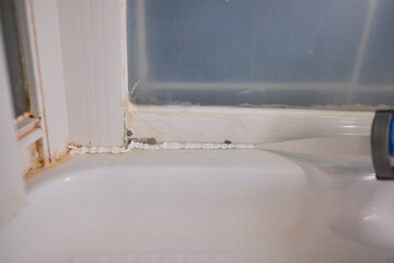 The process of applying sealant during a bathroom renovation involves multiple technical steps