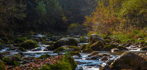 I fantastici colori dell’autunno nei boschi della meravigliosa Valle Pesio