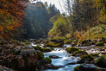 I fantastici colori dell’autunno nei boschi della meravigliosa Valle Pesio © alessandrogiam