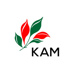 Modern Abstract Leaf Logo Design – KAM Later Logo, Red and Green Nature-Inspired Brand Icon
