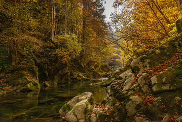 I fantastici colori dell’autunno nei boschi della meravigliosa Valle Pesio