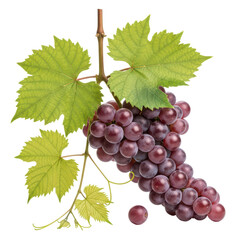 Fototapeta premium Vibrant red grapes cluster with green leaves on transparent background