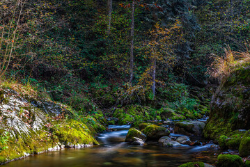 I fantastici colori dell’autunno nei boschi della meravigliosa Valle Pesio © alessandrogiam