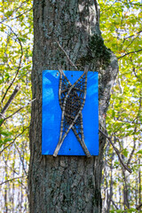 Handmade wooden snowshoes crossed on blue hiking trail sign attached to forest tree
