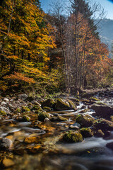 I fantastici colori dell’autunno nei boschi della meravigliosa Valle Pesio