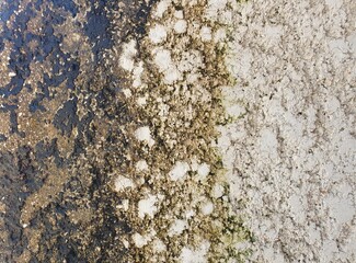 Weathered Wall with Mold and Damp