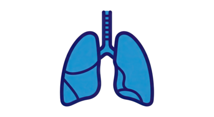 Colorful illustration of human lungs on a white background