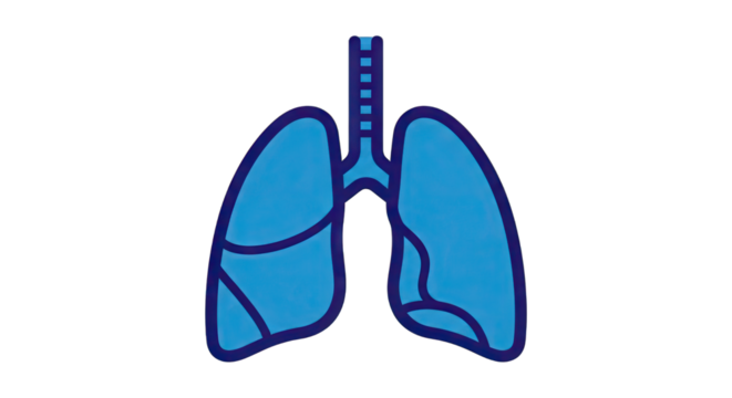 Colorful illustration of human lungs on a white background