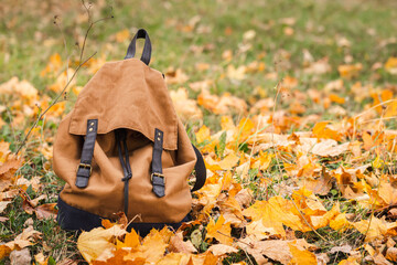 Stylish backpack in the autumn forest among the foliage on a blurred background, back to school, travel and tourism concept, copy space.