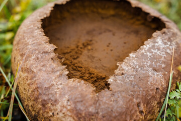 decayed mushroom concealed within moist grassy moss, aged mushroom nestled amid damp moss and lively grasses, ancient mushroom hiding within wet moss surrounded by vibrant green