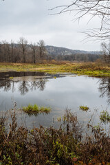 peaceful natural landscape, calm wetland and ridge view, tranquil wetland scene with distant ridge and ponds, serene wetlands featuring reflective ponds and distant wooded ridges