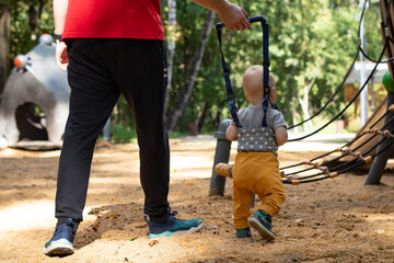 Obraz premium A child is learning to walk. A father leads a small child on a leash. A child's reins.