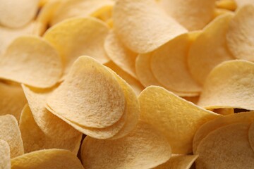 Homemade Flavored Paprika Potato Chips in a Bowl, top view. Flat lay