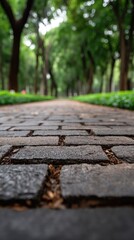 Fototapeta premium A stone pathway winds through a lush, green park with trees casting soft shadows under bright sunlight, inviting visitors to stroll