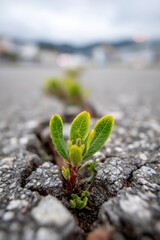 New life emerges from cracks in pavement in a city scene showcasing resilience in nature