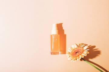 Cosmetic serum bottle and orange gerbera flowers on beige background with light and shadows. Top view, flat lay