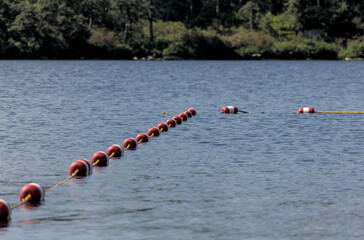 swimming floating rope separator in lake awosting minnewaska state park (public swim beach) divider pool safety travel summer float outdoors outdoor deep depth water buoys outside nature