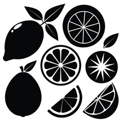 Lemon and Orange Slices Vector Icon Collection