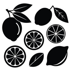 Adobe IllustratoCitrus Fruits and Leaves Silhouette Setr Artwork