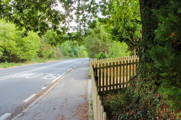 Fototapeta premium Sidewalk next to a road, a large tree and a beautiful thin wooden fence.
