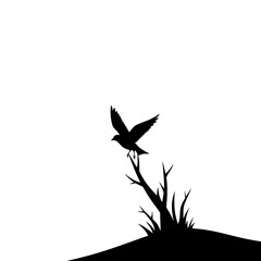 Silhouette of a Bird Perched on a Branch