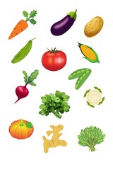 Set of fresh vegetables with white background 