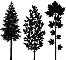 Fototapeta premium Vector art of three different tree silhouettes