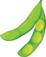Illustration of two green edamame pods, one closed and one partially open revealing three beans inside, on a white background.