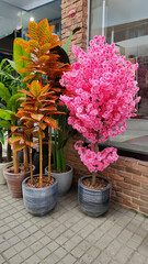 colorful artificial flower and plant types
