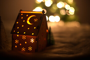 Christmas light house and light bulbs