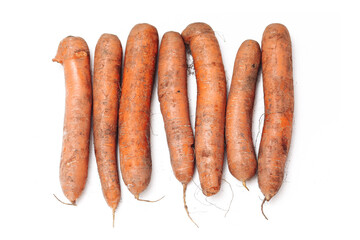 Fresh unwashed carrots with soil remains isolated on white background. Organic root vegetables from garden harvest. Natural healthy food full of vitamins and earthy texture concept.